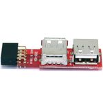 Conversor USB de placa madre 2x5 pin a 2xAH - US03200 - 02
